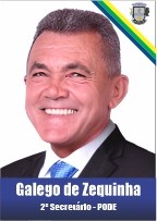 galego-de-zequinha